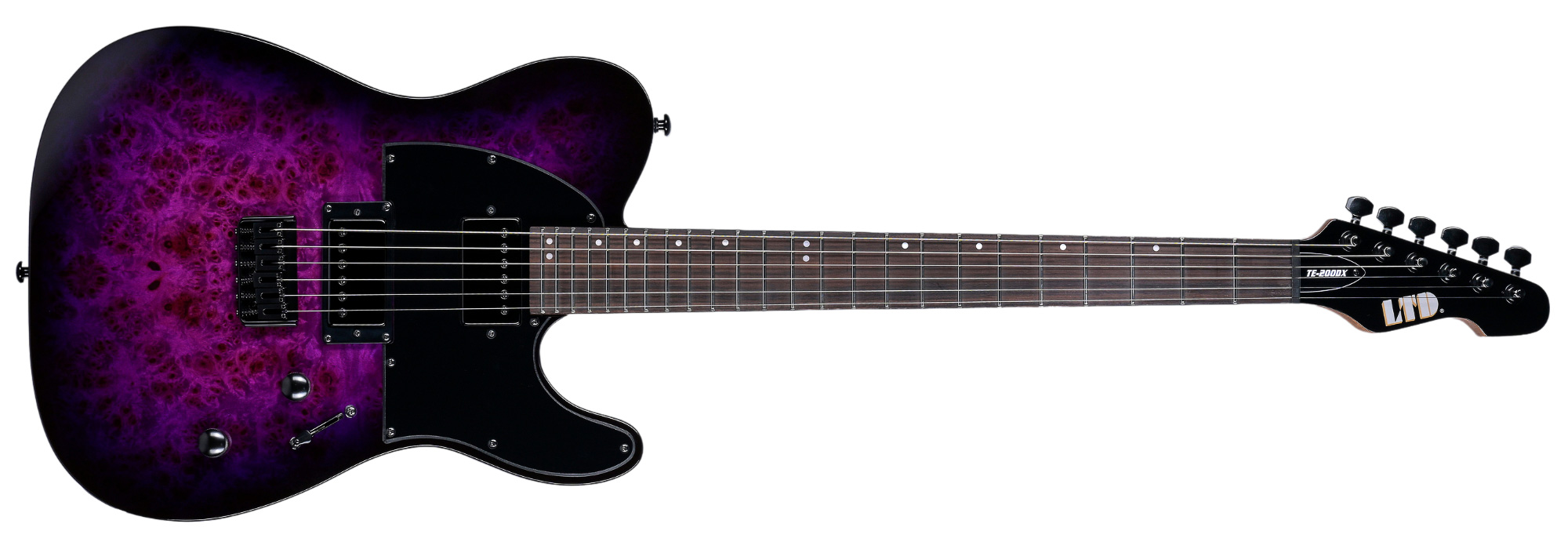 La Boite Noire du Musicien - LTD dévoile la gamme DX !